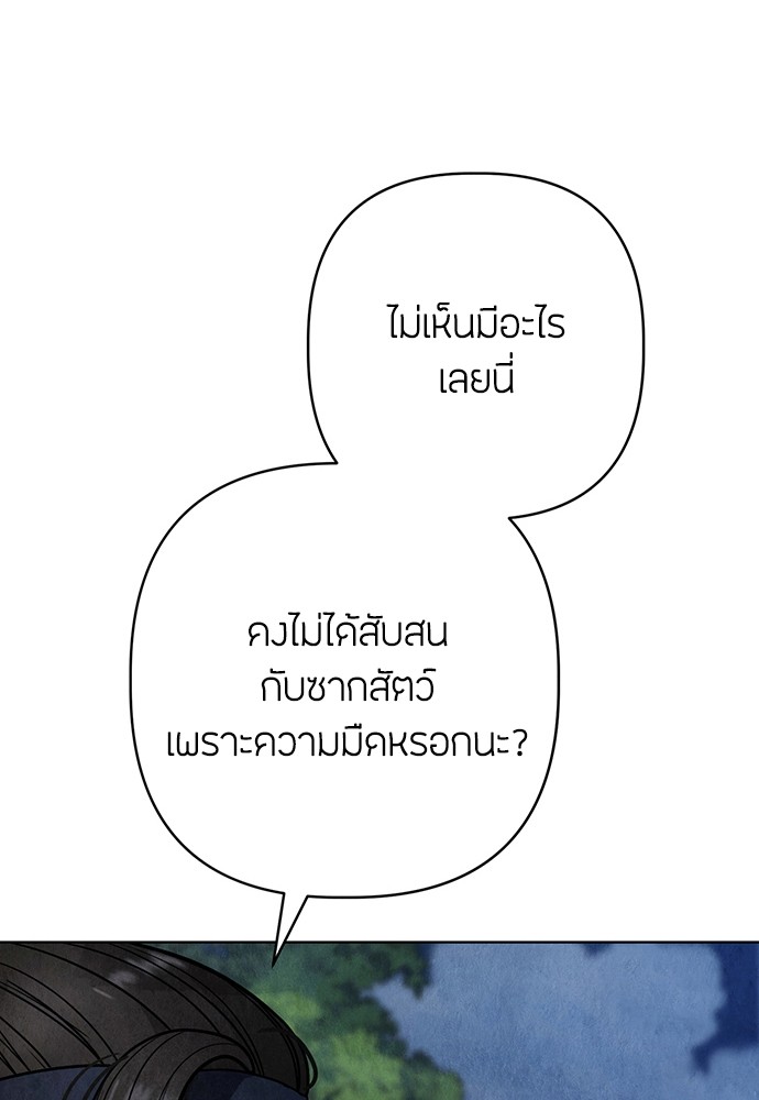 11 (19)