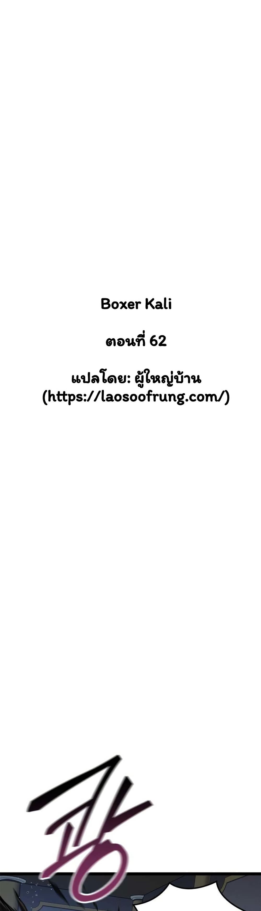 Boxer Kali 62 (5)