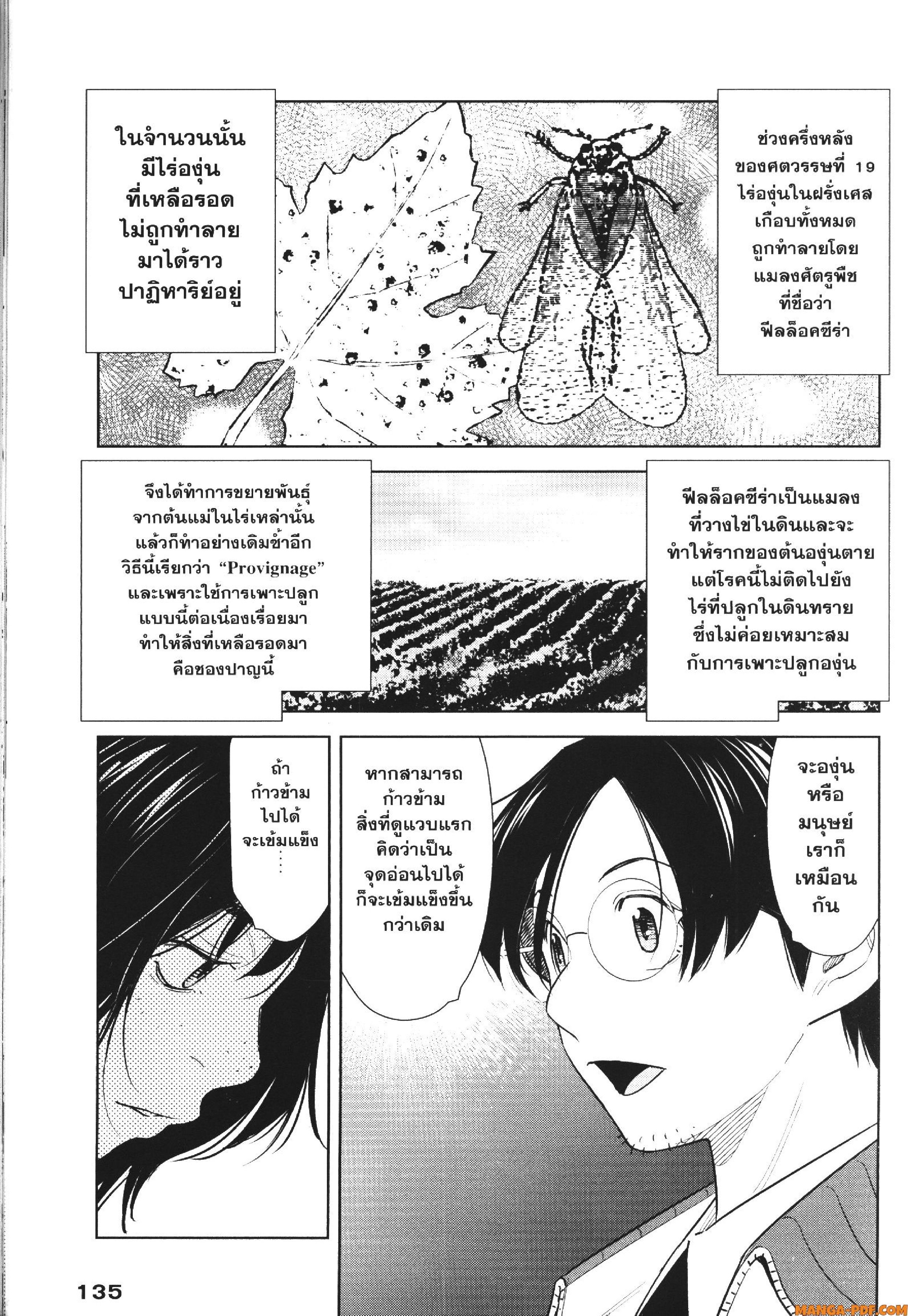 CHAMPAGNE 13 (13)