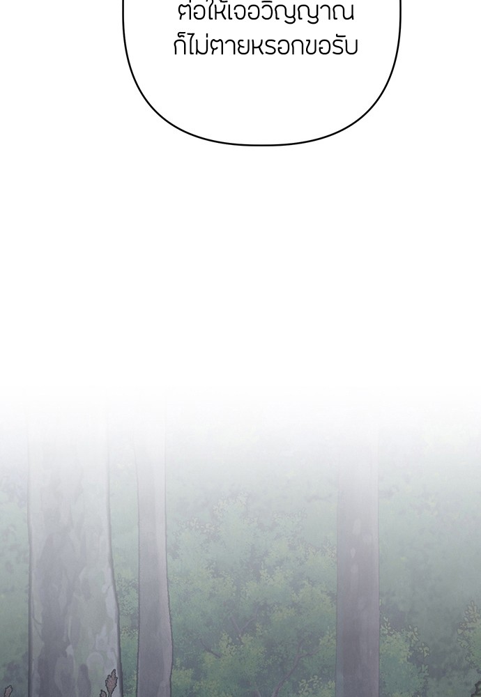 13 (3)