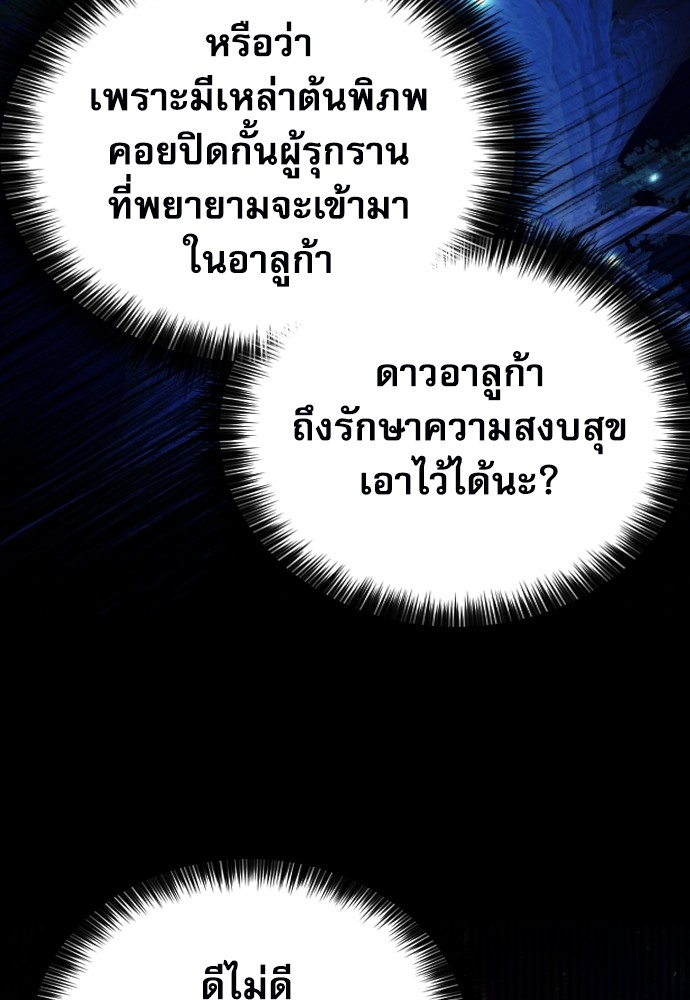 81