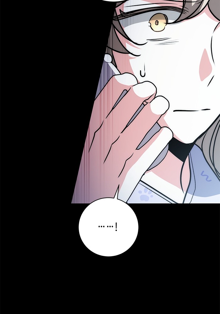 25 (12)