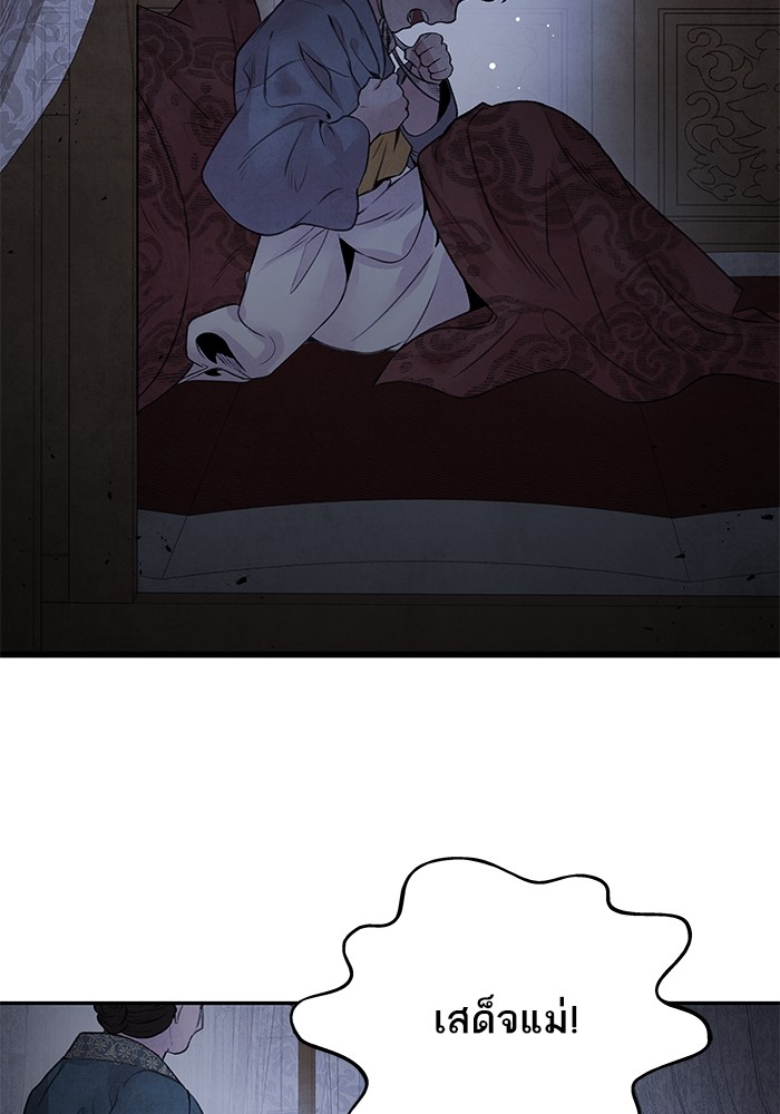 31 (36)