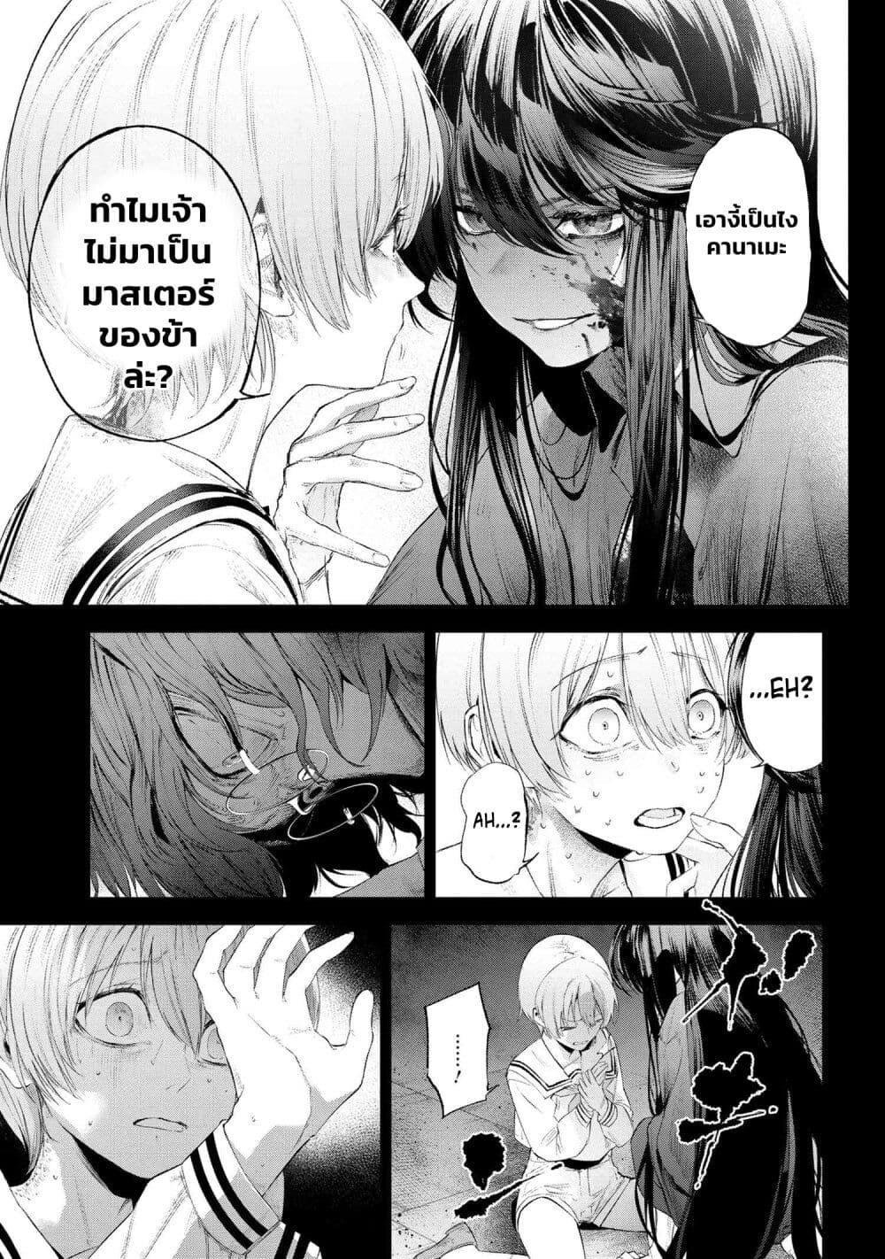 Fate Type Redline 15.2 12