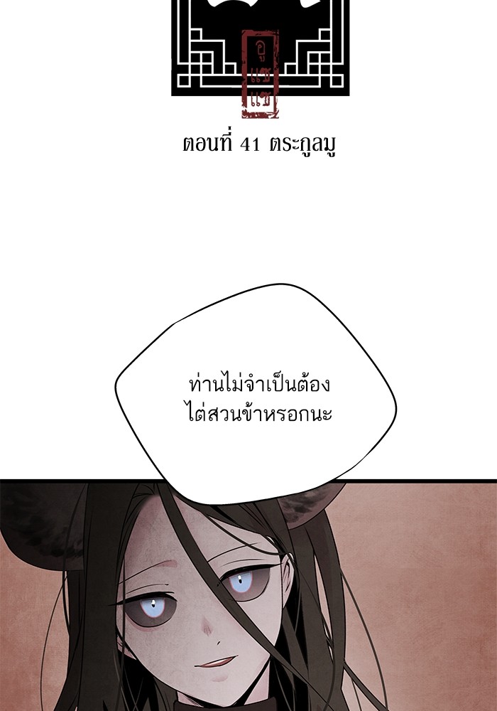 41 (2)