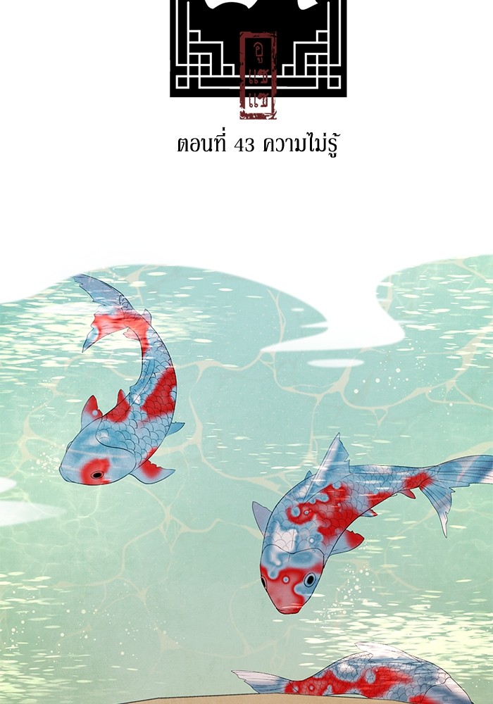 43 (2)
