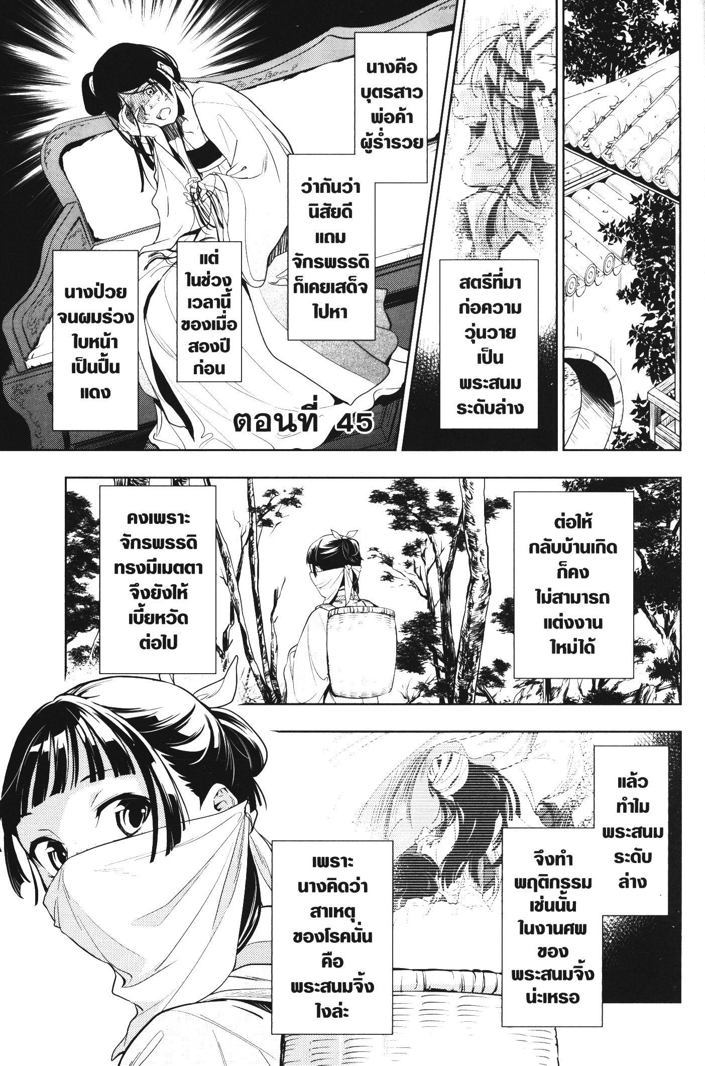 Kusuriya no Hitorigoto 44 (33)