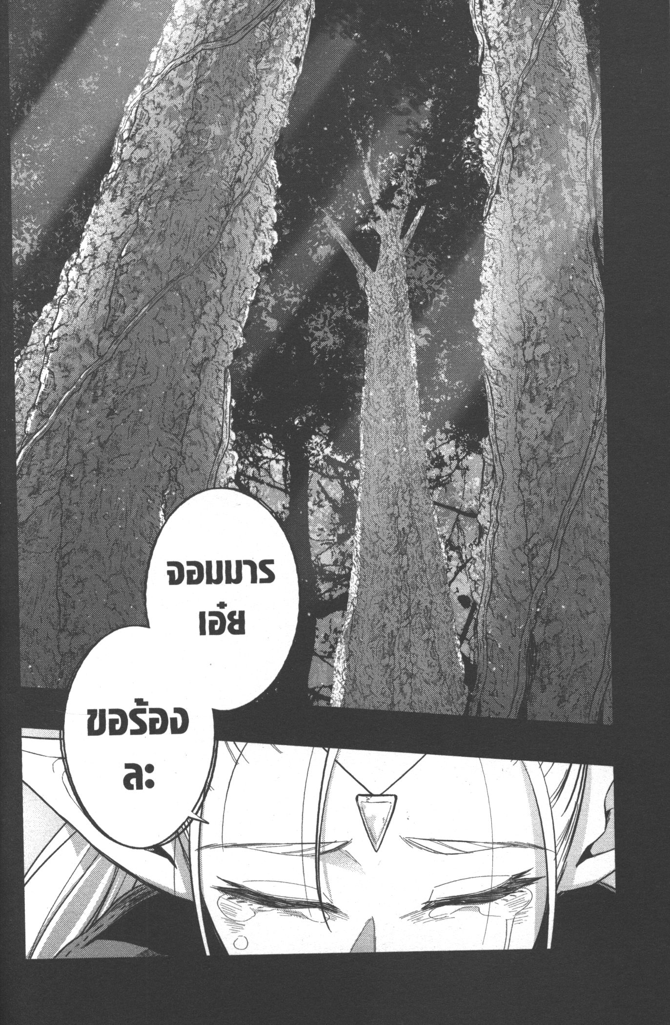 Shokei Sareta Kenja wa Lich ni Tensei Shite Shinryaku Sensou wo Hajimeru 13 (40)