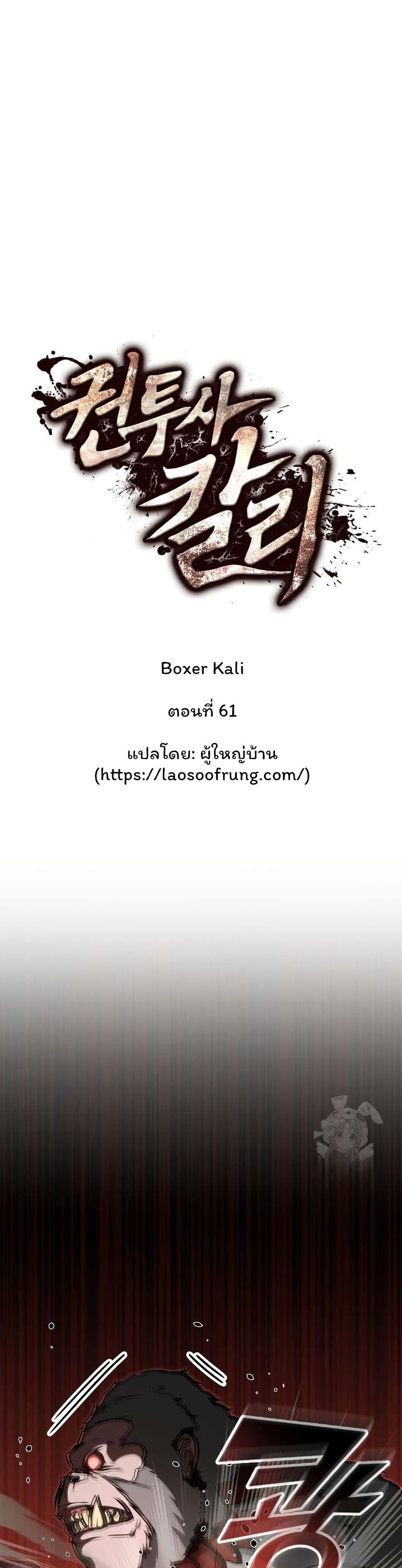 Boxer Kali 61 01