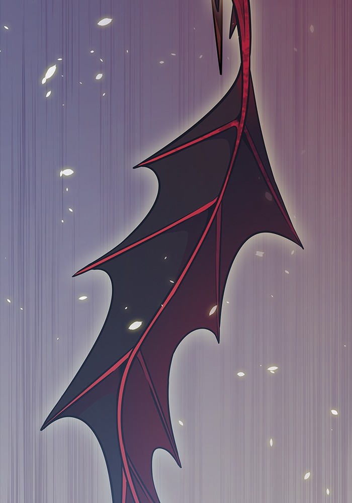635 (81)
