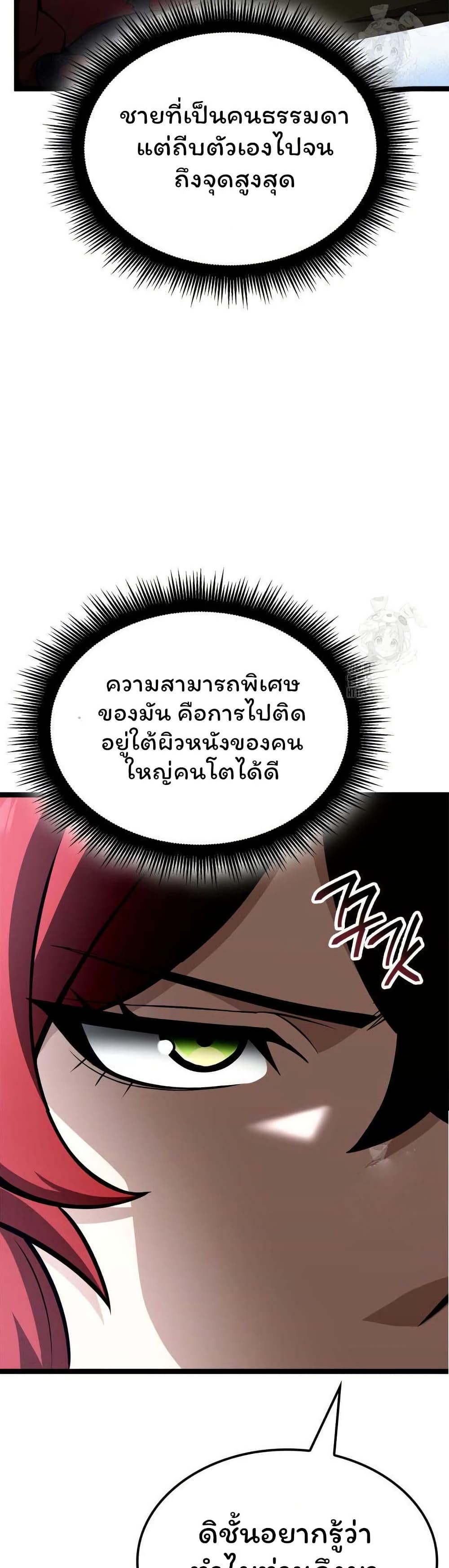 Boxer Kali 62 (41)